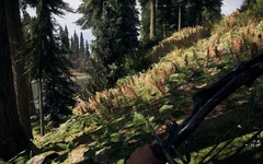 Far Cry 5 Screenshot 2018.04.17 - 22.21.02.49.webp