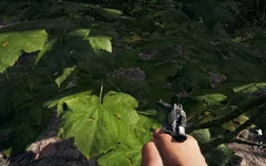 Far Cry 5 Screenshot 2018.04.17 - 22.17.09.73.webp