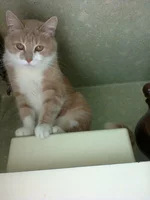 0650.webp