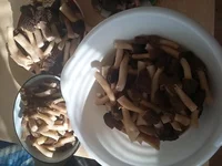 20180421_172652.webp