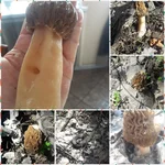 20180421_165538.jpg