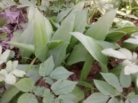 Photo-0107.webp