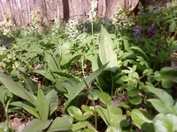 Photo-0109.webp