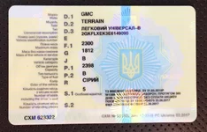 45.webp
