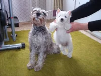 DSC02094.webp