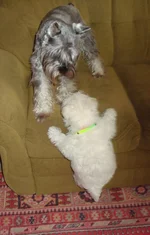 DSC02289.webp