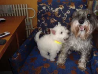 DSC02313.webp