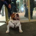 (6)_2_~1.webp