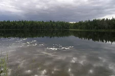  2005_096.webp