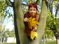 DSC00434.webp