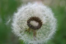  IMG_7095.webp