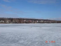 1.JPG