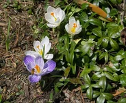 CRW_4014_w3.jpg