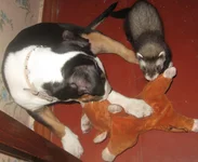 jpG_4057.webp