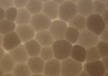 SN204310_cr.jpg