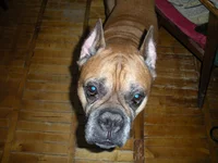 DSCN0032.webp