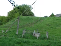 IMG_1686а.webp