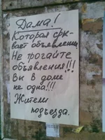 x_7c723f00.webp