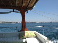 IMG_2247.jpg