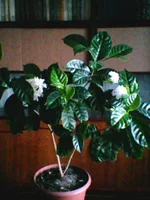 Photo0233.webp