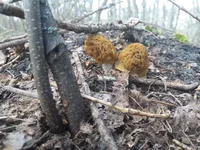 20180422_105922.png