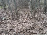 20180422_135038.png
