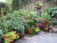 patio-plants-11-most-essential-container-garden-design-tips-designing-a.jpg