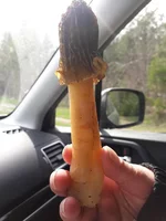 20180425_143721.jpg
