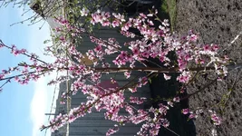 20180425_143512[1].webp