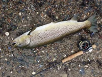20180429_100302.jpg