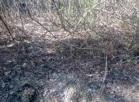 P80429-155040.webp