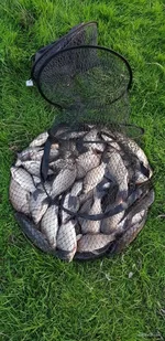 20180429_195759.webp