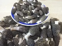 20180428_160735.webp