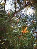 IMG_20180501_161636.webp
