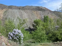 CIMG7951+.jpg