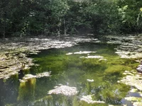 CIMG7929+.jpg