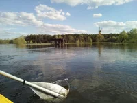 IMG-fb86051415475cbf01f539bec4bf6314-V.webp