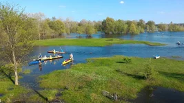 IMG-48272803511306a2bc02214fb691f035-V.webp