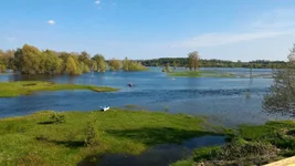 IMG-114dfbfbfcf24b6c247a23d914c6f156-V.webp