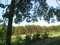 Photo0239.webp