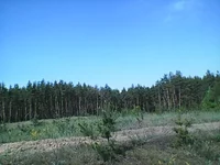 Photo0240.webp