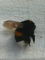 Photo0247.webp