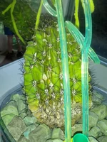 IMG_20180505_123001[1].webp