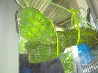 IMG_20180505_123056[1].webp