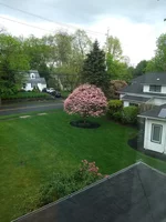 IMG_20180506_103618940.jpg