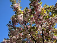 2018-05-06 16.57.48.webp