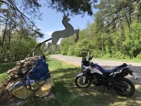 IMG_0803.webp IMG_0803.webp