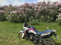 IMG_0810.webp IMG_0810.webp