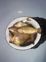 2018506120041.webp
