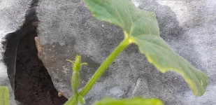 20180509_153731.jpg